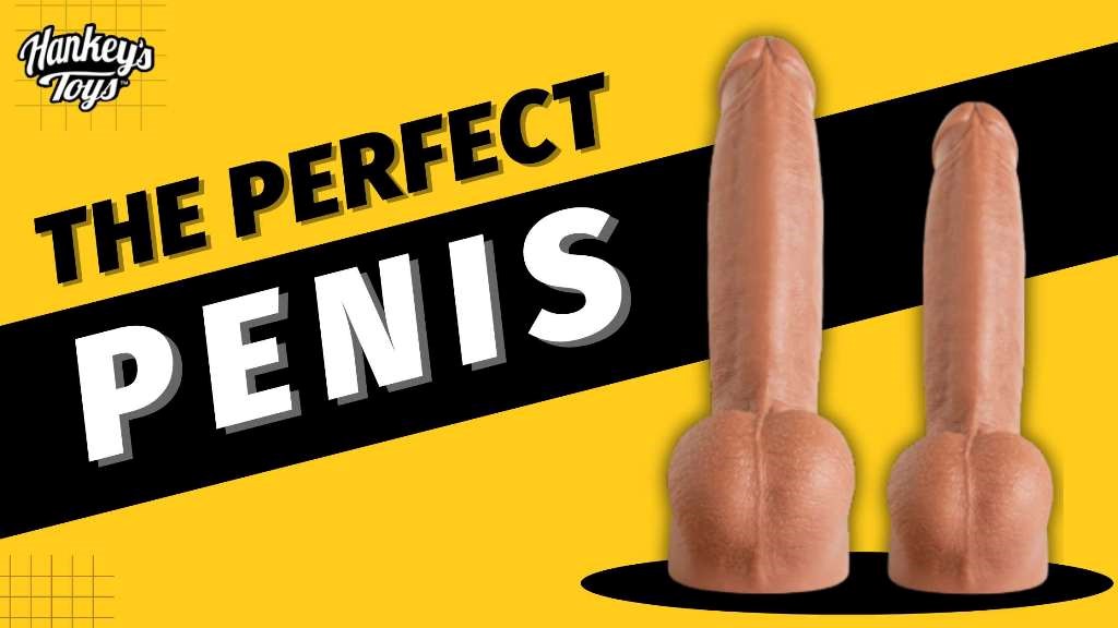 Mr. Hankey's Toys Blog - The Perfect Penis