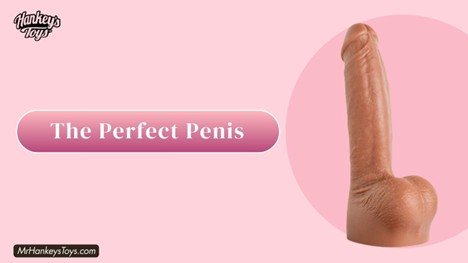 The Perfect Penis